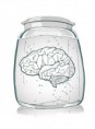 /album/komix/brain-in-the-jar-jpg-jpg/